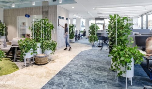 Biophilic vademecum – jak stworzyć zdrową przestrzeń pracy