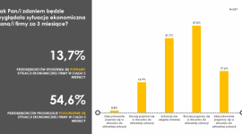 Im większa firma – tym mniejsze problemy. Badanie KoronaBilans MŚP, maj 2020 r.